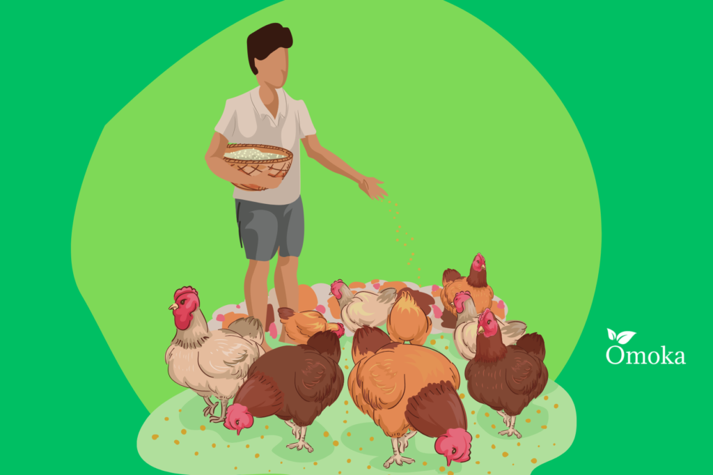 Poultry farming profit