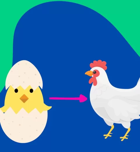 How to Start Poultry Farming in Kenya [Full 2024 Guide]