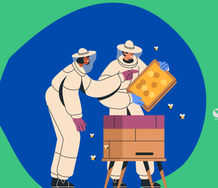 How to Start a Beekeeping Business in Kenya [Full 2024 Guide]